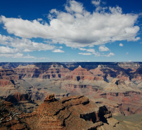Avondale Tile Cleaning