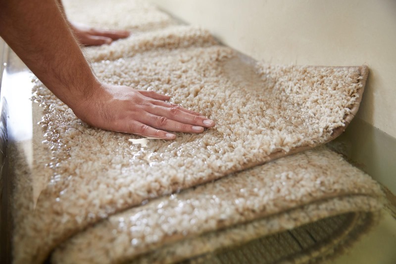 Carpet Cleaning vs. New Carpet: Which is Best for Your Home?